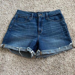 NWOT J Crew Denim Shorts - Women's 29